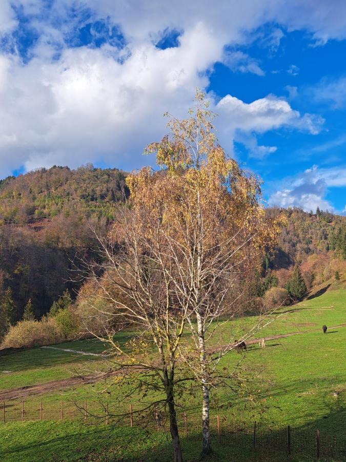 Greenriver Apartment Spodnje Gorje Esterno foto