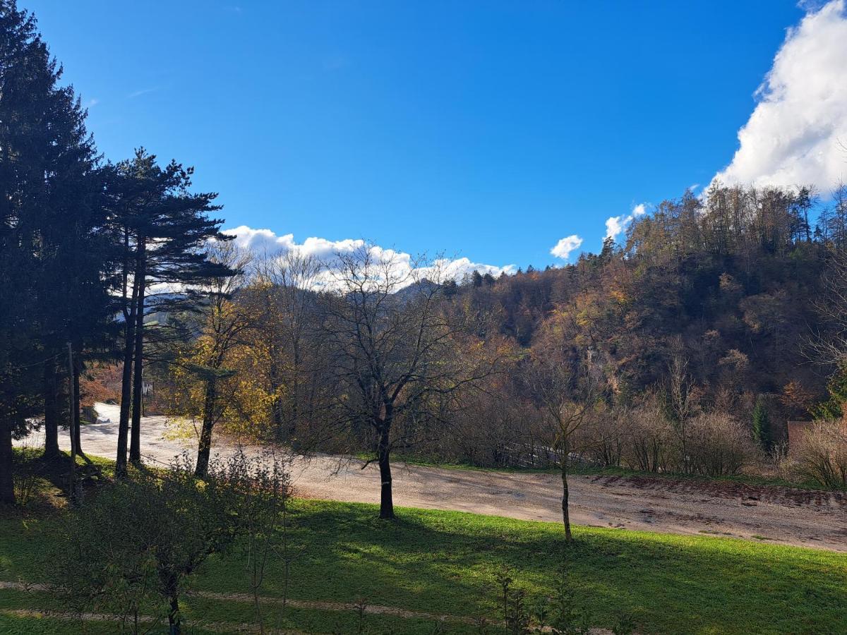 Greenriver Apartment Spodnje Gorje Esterno foto