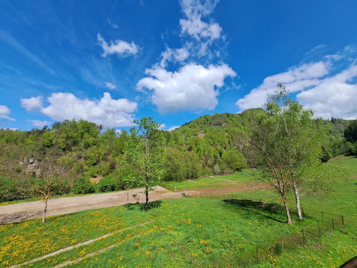 Greenriver Apartment Spodnje Gorje Esterno foto