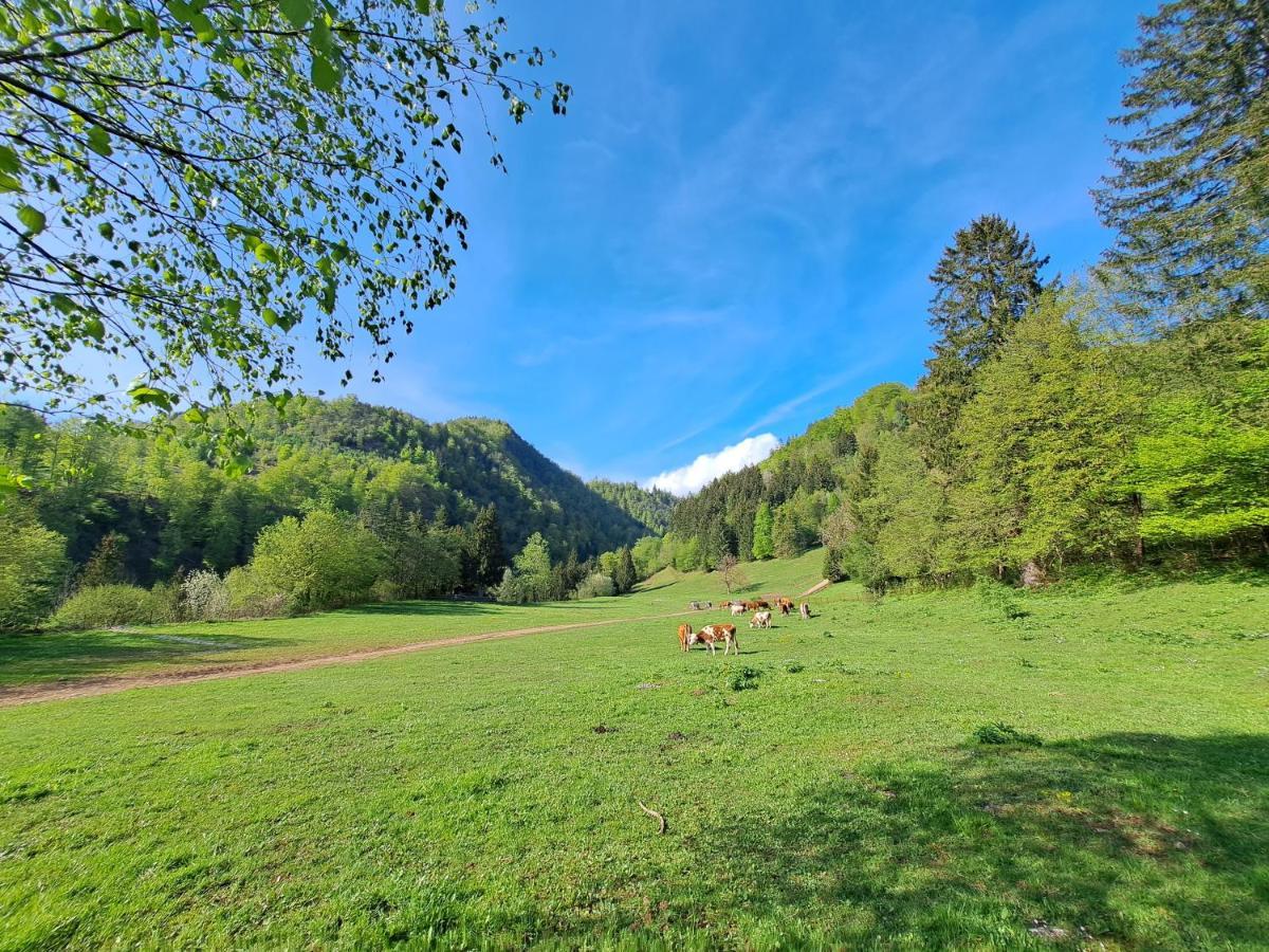 Greenriver Apartment Spodnje Gorje Esterno foto